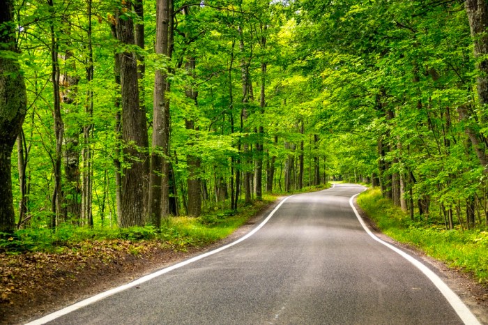Eco-friendly road trip ideas