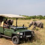 Best safari adventure destinations 2025